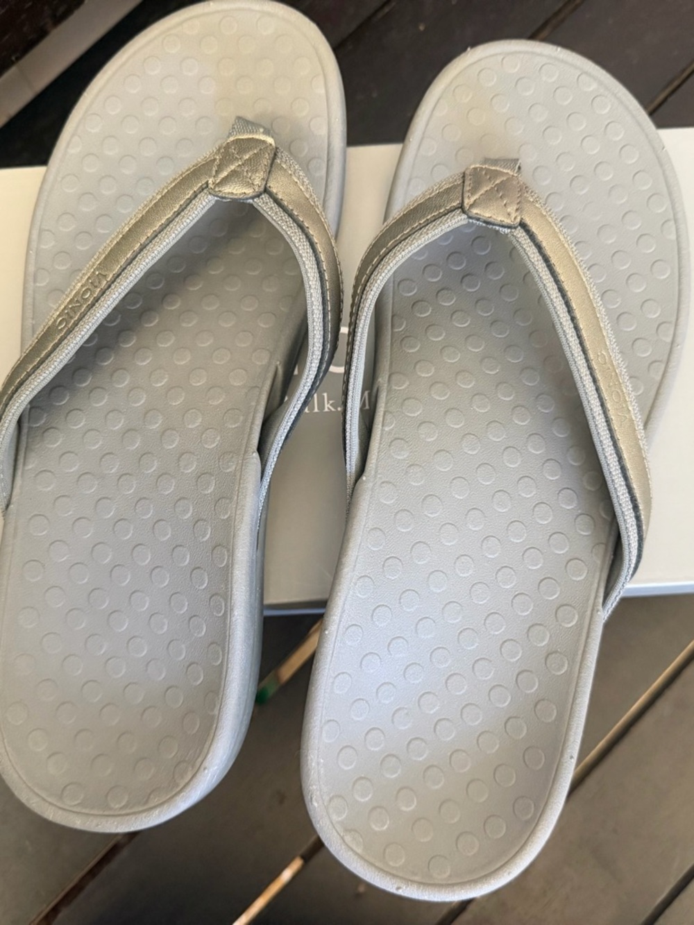 Vionic Men's Silver Flip-Flop Sandals
